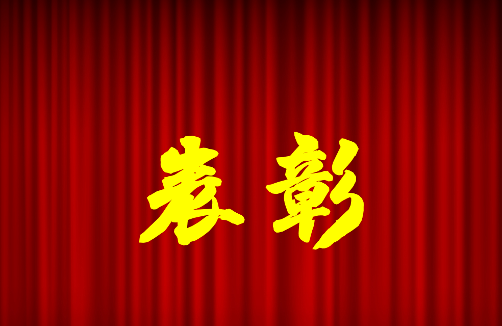 逐光前行、榮耀共鑒 | 公司2024年度表彰來啦！